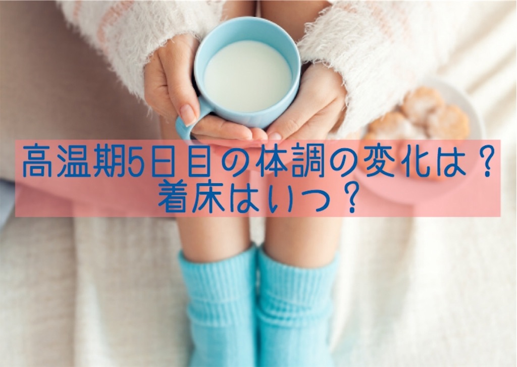 高温期５日目の体調の変化は 着床はいつ これからのひっちゃんにご期待ください