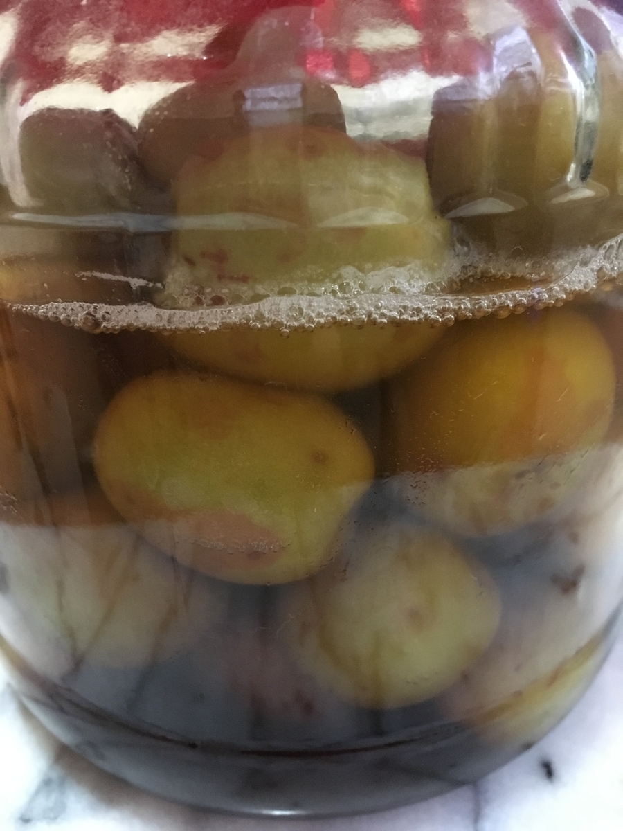 f:id:hichako888:20190622151800j:plain f:id:hichako888:20190622151800j:plain