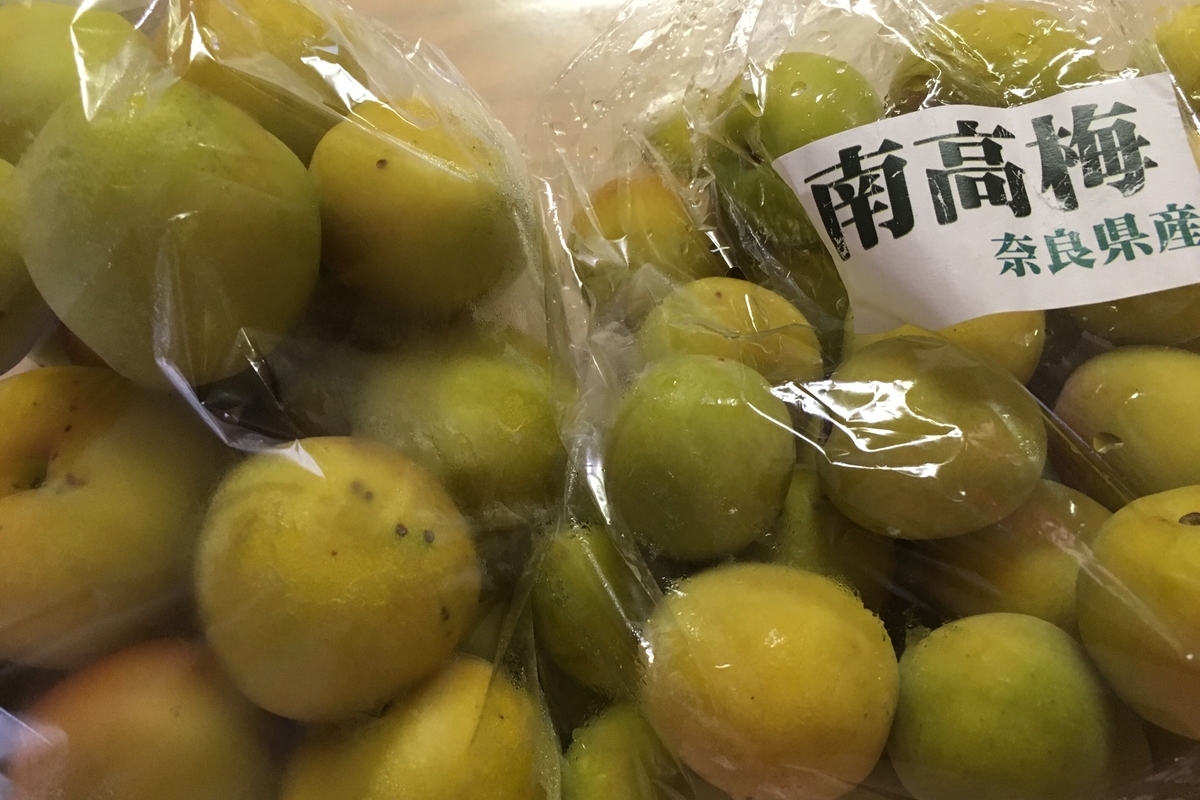 f:id:hichako888:20190629191525j:plain f:id:hichako888:20190629191525j:plain