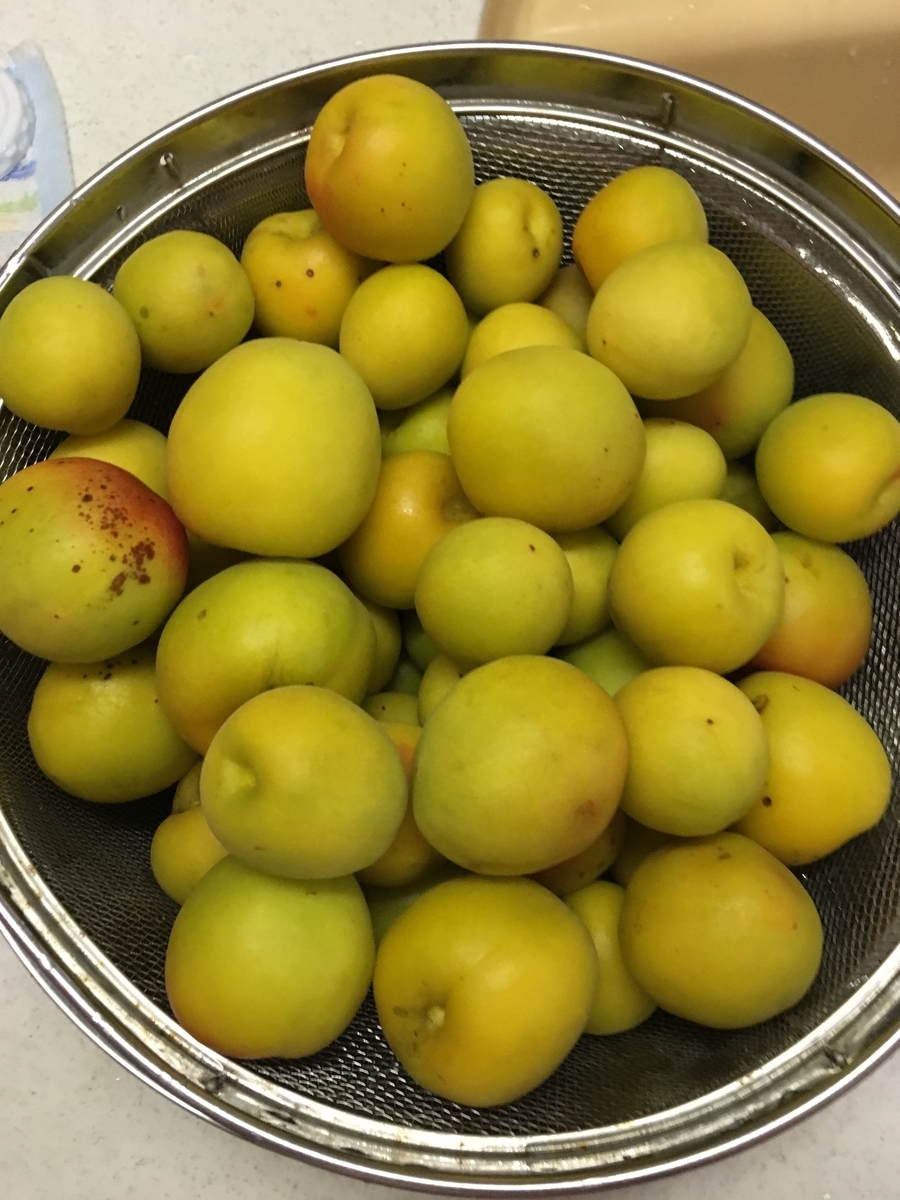 f:id:hichako888:20190629193902j:plain f:id:hichako888:20190629193902j:plain