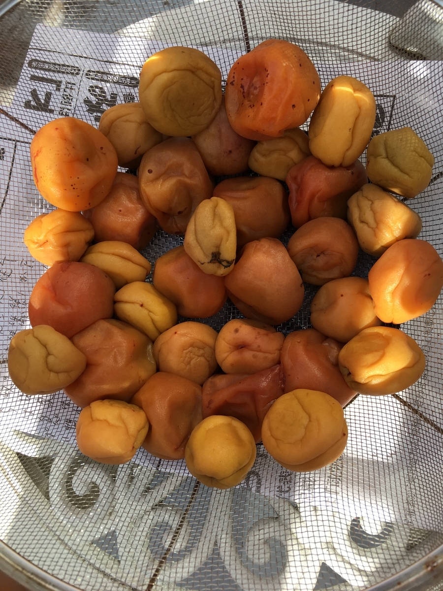 f:id:hichako888:20190809095132j:plain f:id:hichako888:20190809095132j:plain