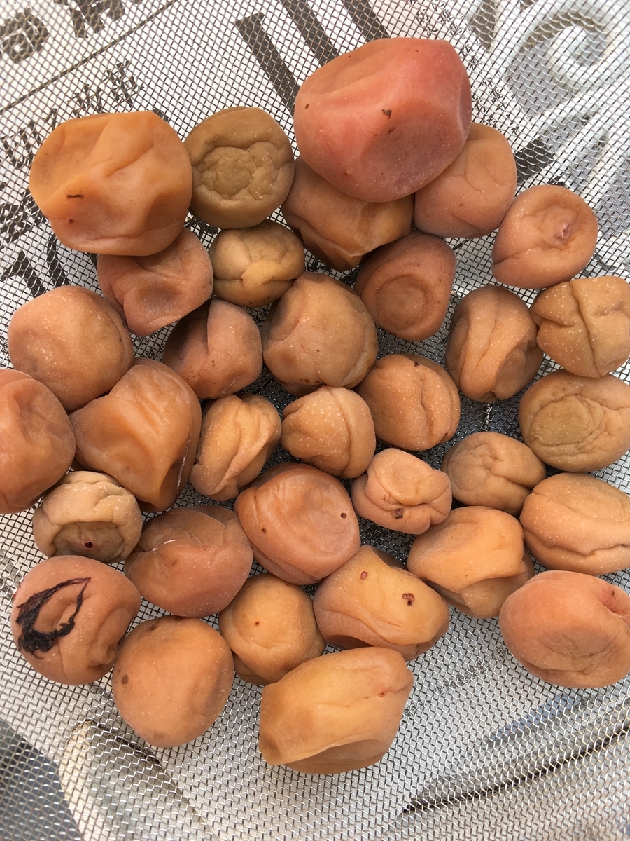 f:id:hichako888:20190809102418j:plain f:id:hichako888:20190809102418j:plain