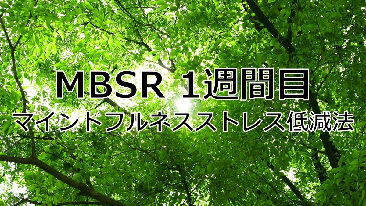 MBSR1週間目の記録