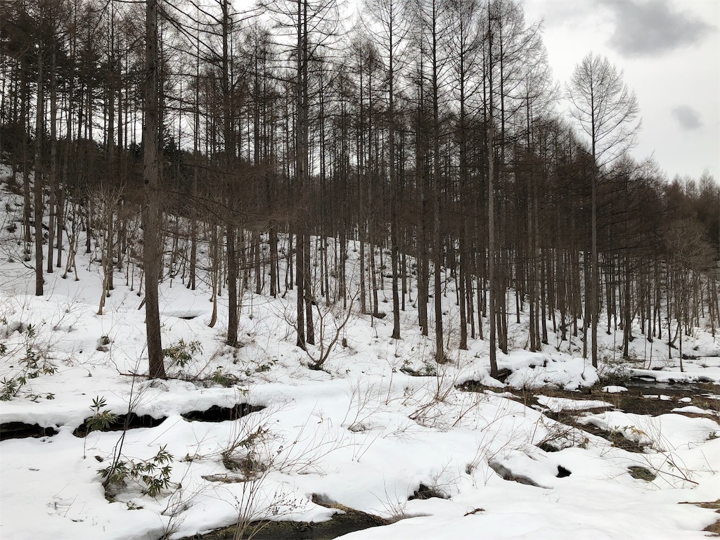 f:id:hidafly:20190310171554j:image