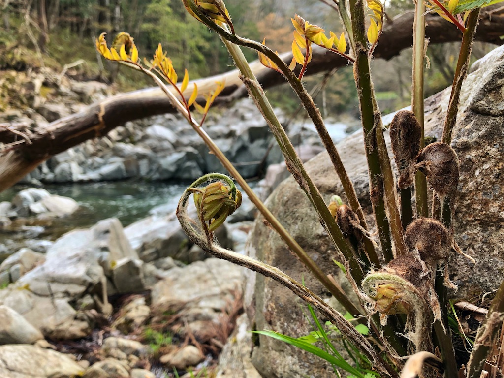 f:id:hidafly:20190512130217j:image