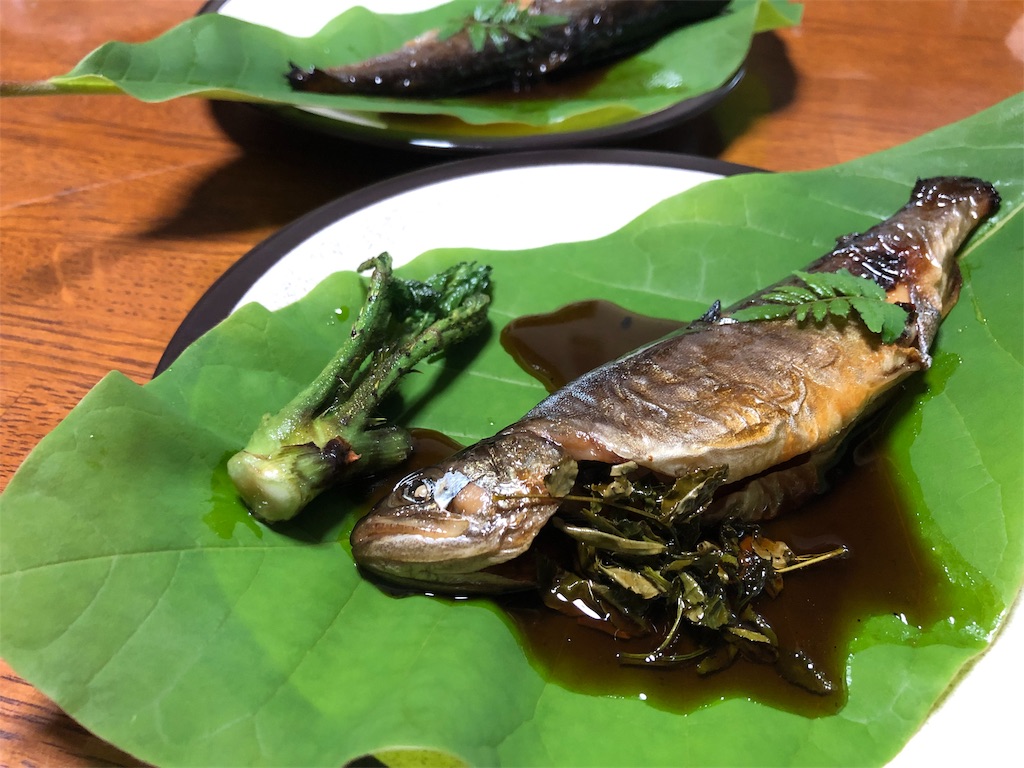 f:id:hidafly:20190520175925j:image