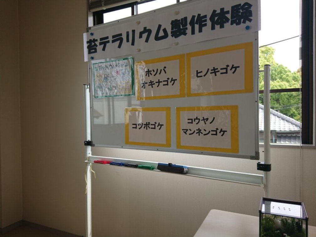 f:id:hidamari-cafe:20210427215551j:plain