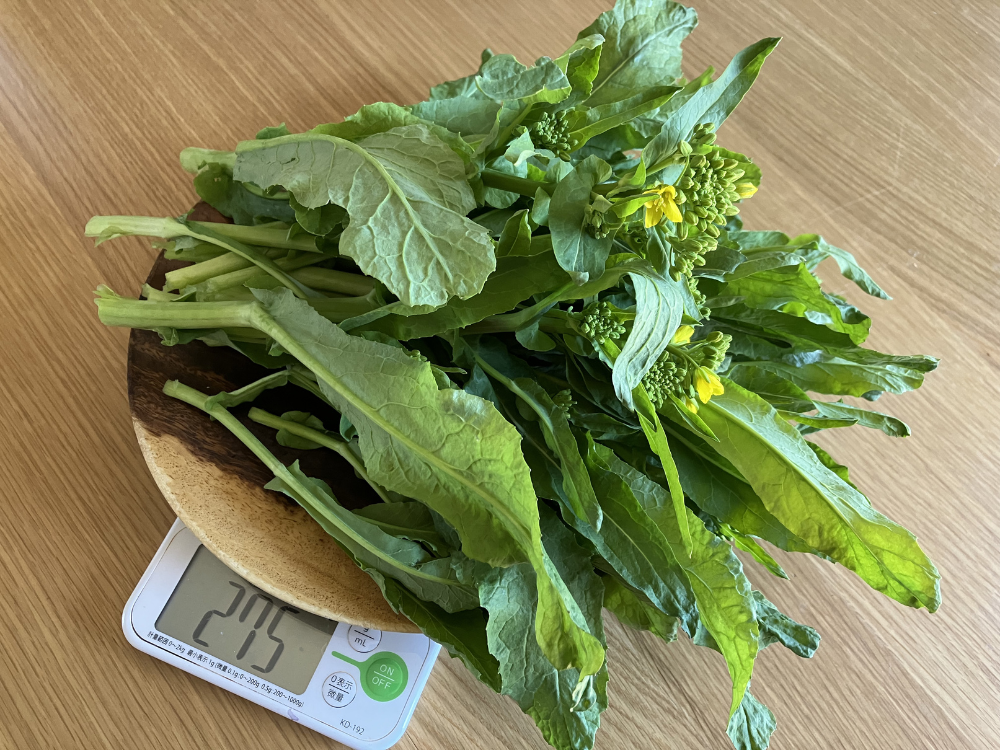 大かぶの菜花、今回の収穫。20本前後で275gでした。