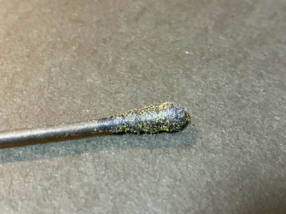 綿棒に黄色い花粉がついている