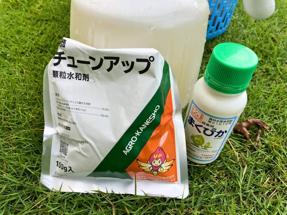 チューンアップ顆粒水和剤2000倍にまくぴかを加えて散布した記録