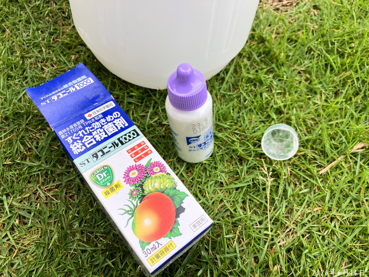 落花生の褐斑病疑いで使ったSTダコニール1000と噴霧器