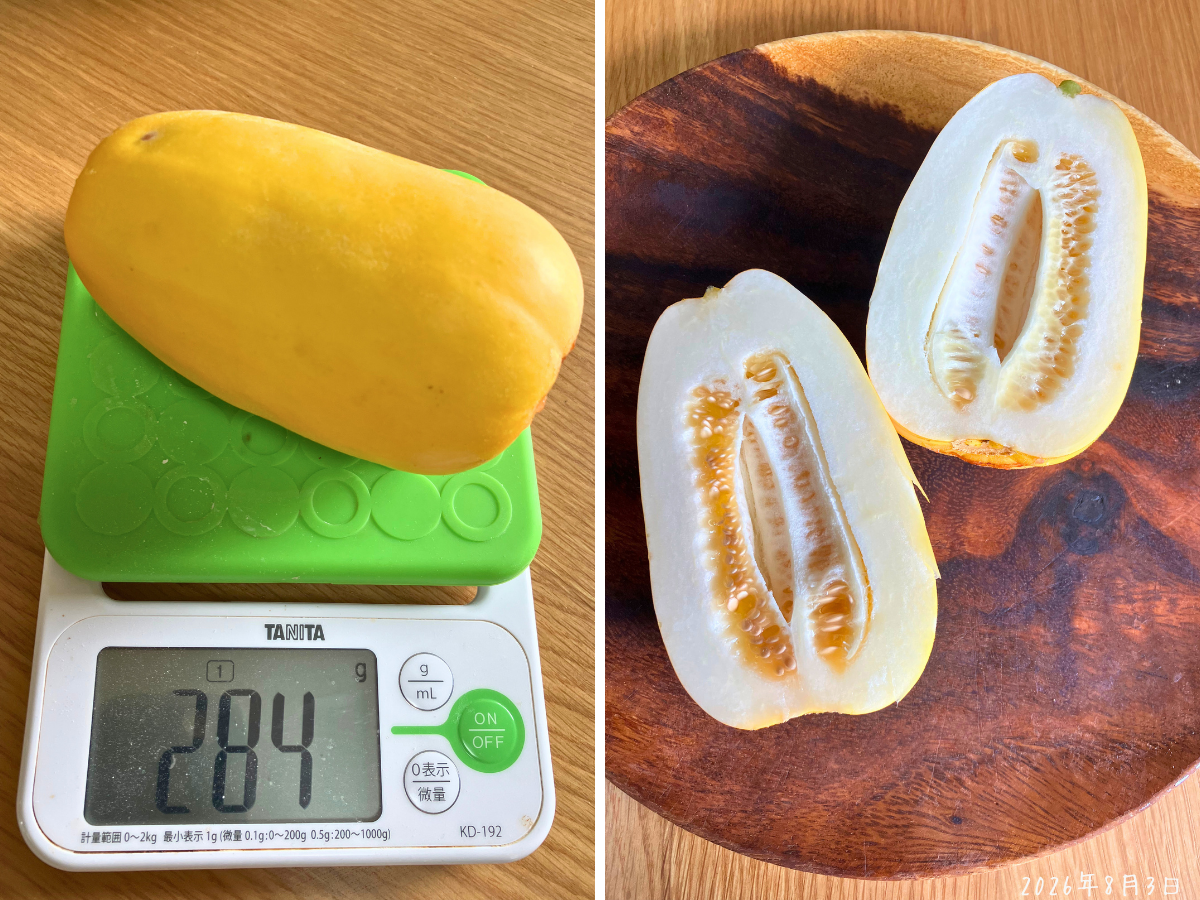 重さ284gの黄金まくわうりと半分に切った白い果肉の断面