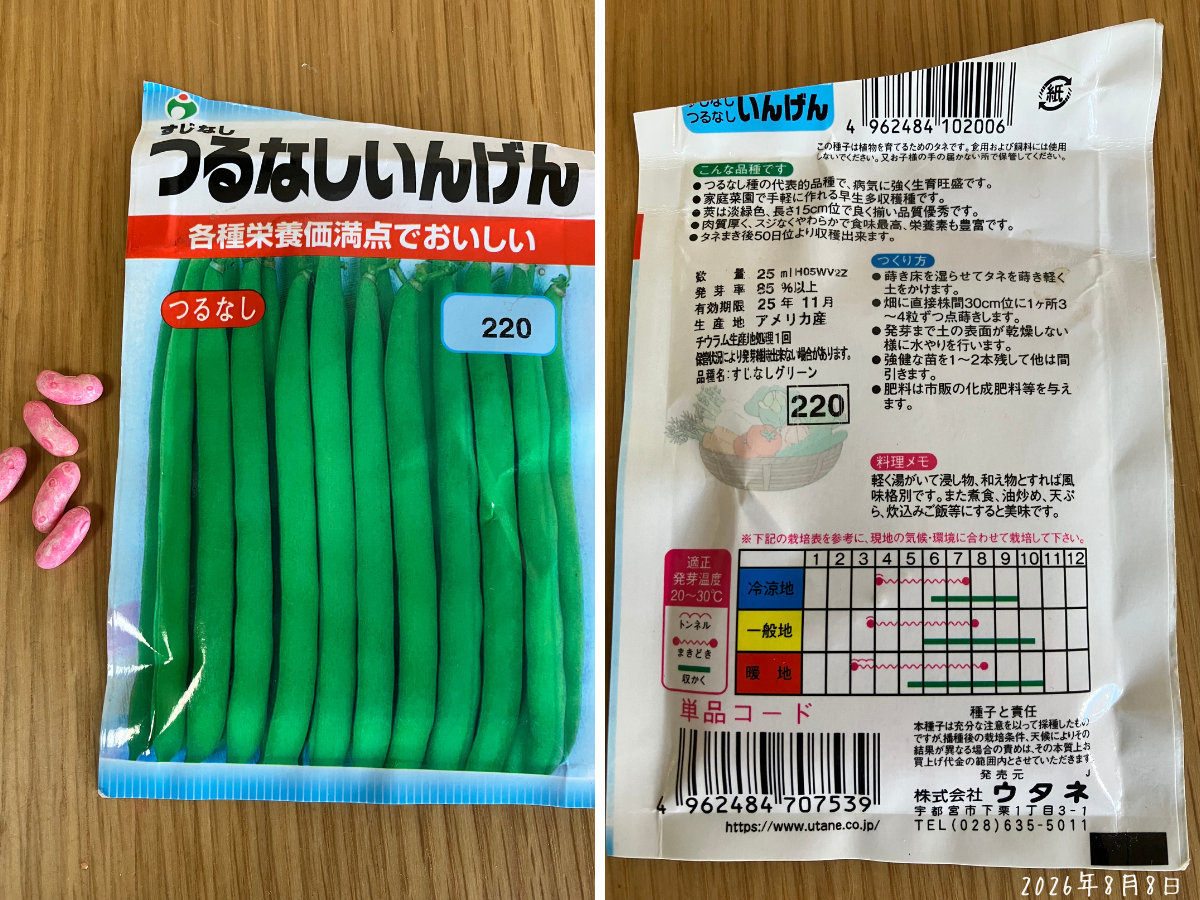 つるなしいんげんの種袋の表面と裏面と残っていた種
