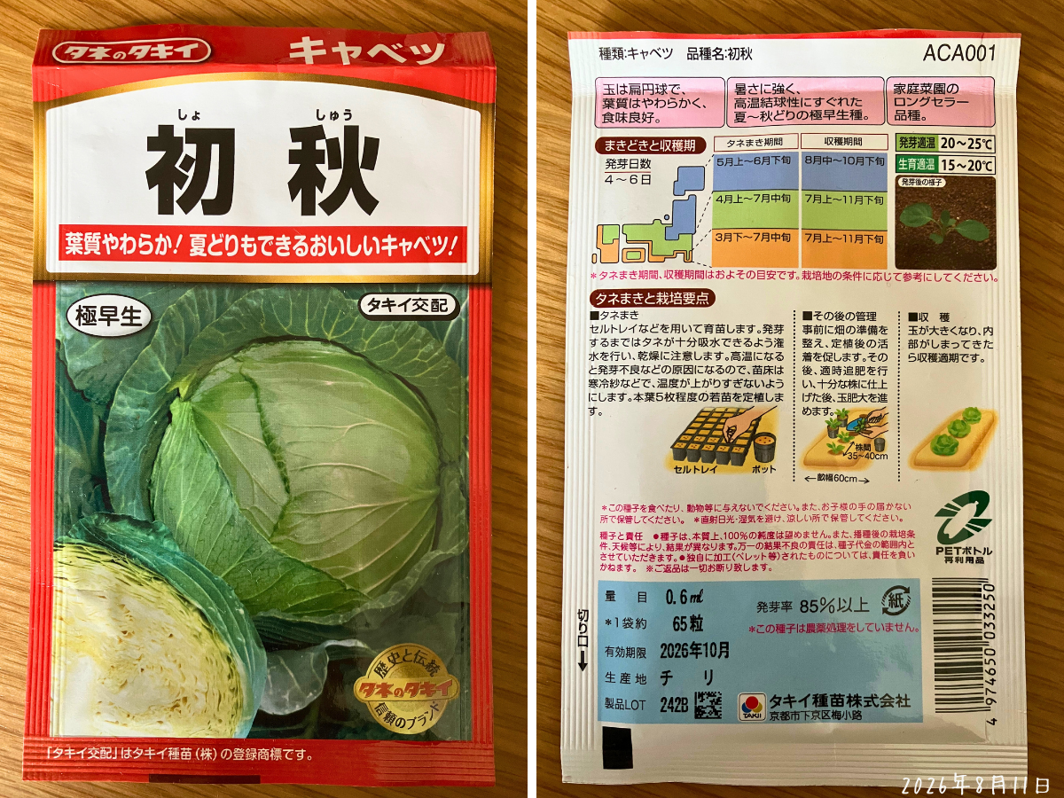 キャベツ「初秋」の種袋の表と裏で玉は扁円球と書かれている
