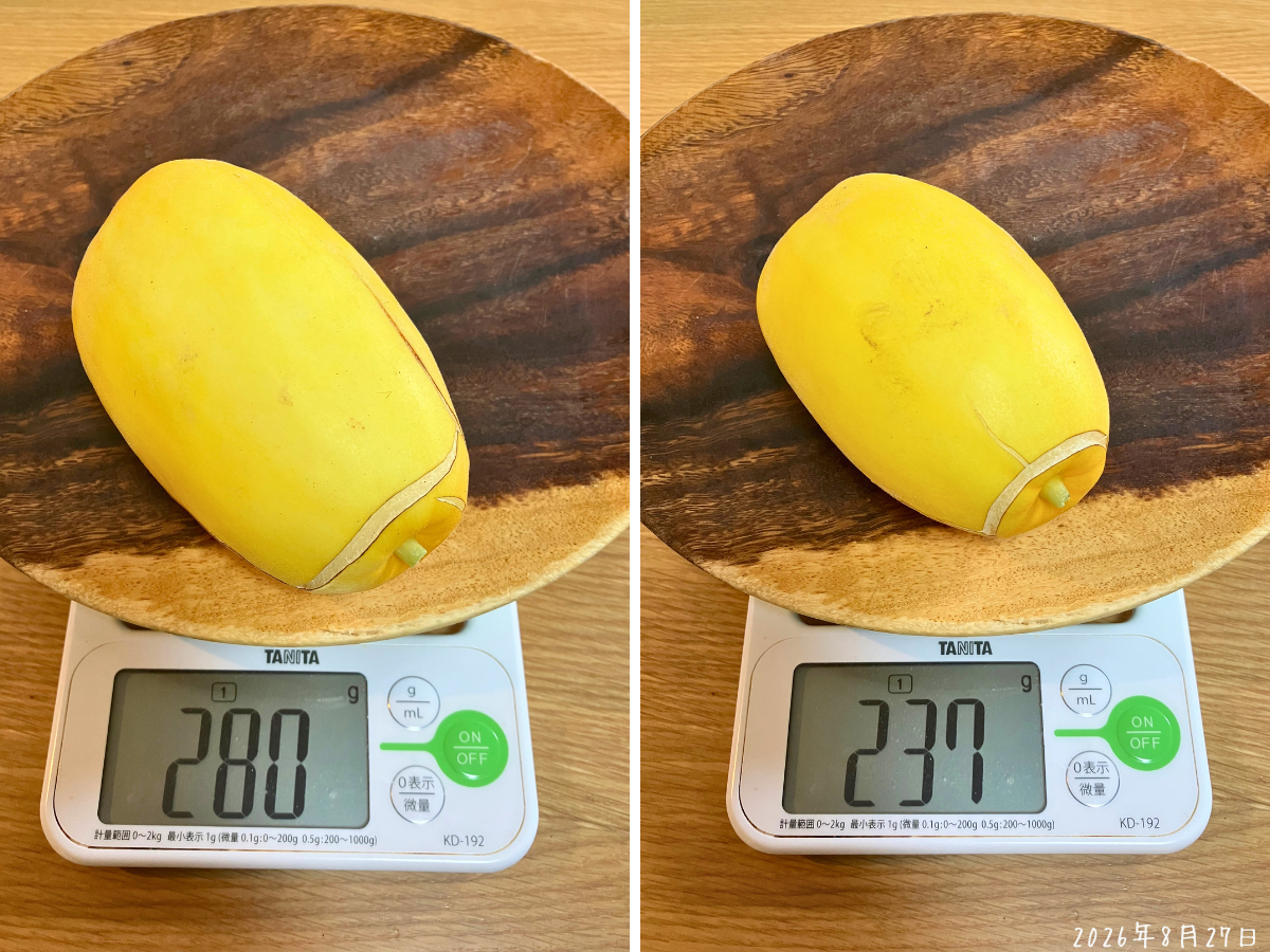 最後に収穫した黄金まくわうり280gと237g 最後に収穫した黄金まくわうり2個を量り、左が280g、右が237gだった記録