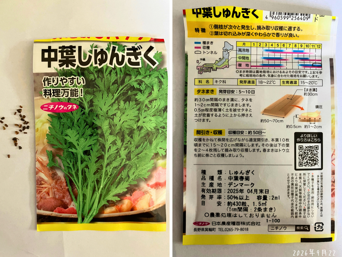 春菊の種まきと発芽｜9月22日まき、4日後に32穴の半分ほど発芽