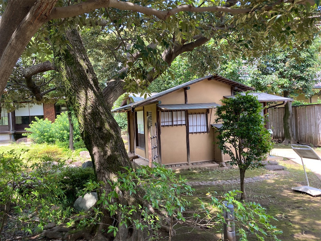 f:id:hidamari39:20260621122123j:image f:id:hidamari39:20260621122123j:image