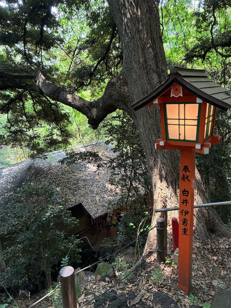 f:id:hidamari39:20260806123947j:image f:id:hidamari39:20260806123947j:image