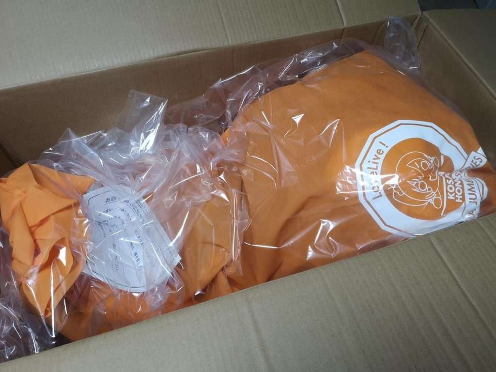 全長100cm】ラブライブ！テラジャンボ寝そべり高坂穂乃果をお迎えして