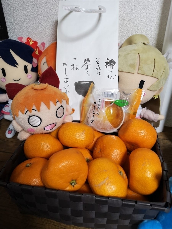 西浦みかん】みかんを買いに沼津へ行こう！1泊2日のみかん箱買い弾丸