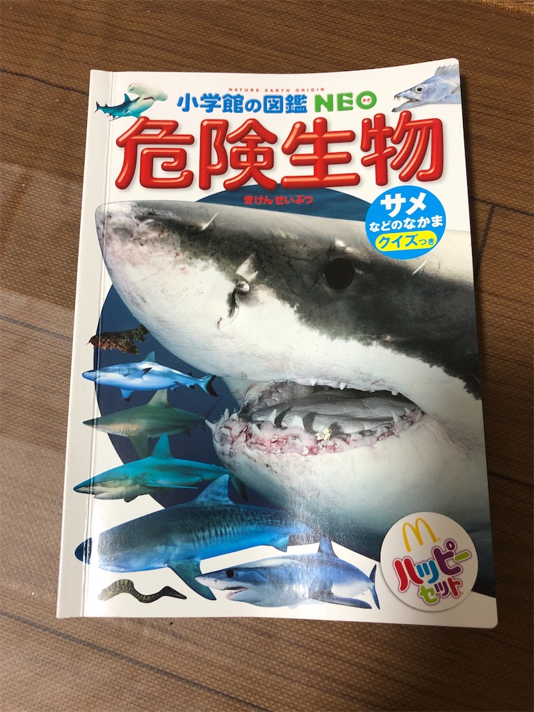 危険生物 サメ Hidamarinnのキラキラ子育て 危険生物 サメ Hidamarinnのキラキラ子育て