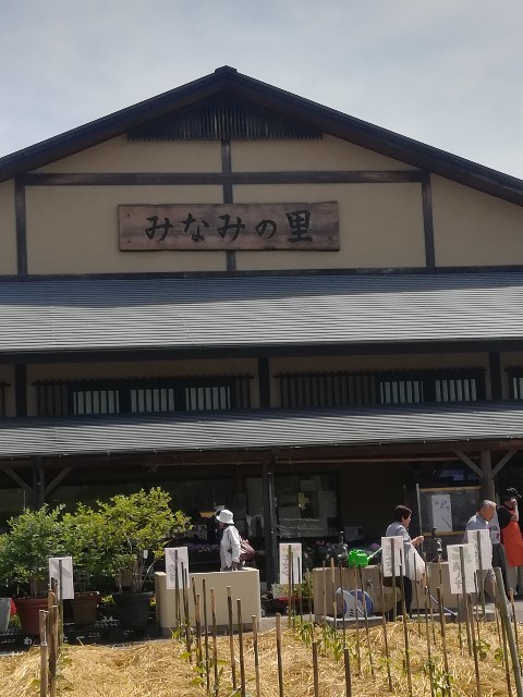f:id:hidamarirap:20170603103424j:image f:id:hidamarirap:20170603103424j:image