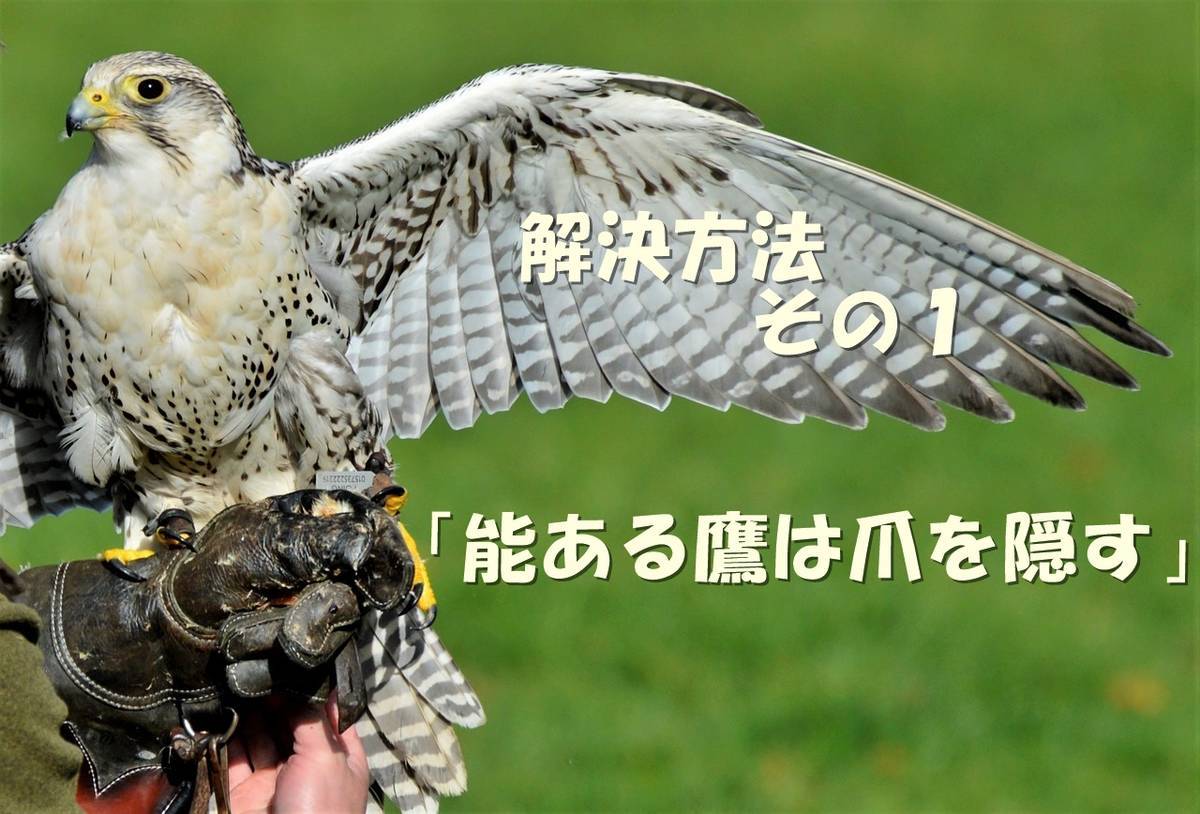 ストーリーで使える ３つの解決方法 １ 能ある鷹は爪を隠す ヒダマルのラノベ講座