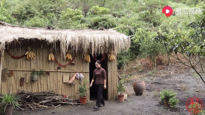 雲南省の奥深くで山小屋生活を発信する『南方小蓉』 - ガラパゴスの蛙