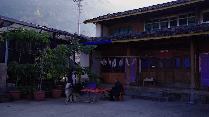 f:id:hidari_te:20200126011013j:plain f:id:hidari_te:20200126011013j:plain