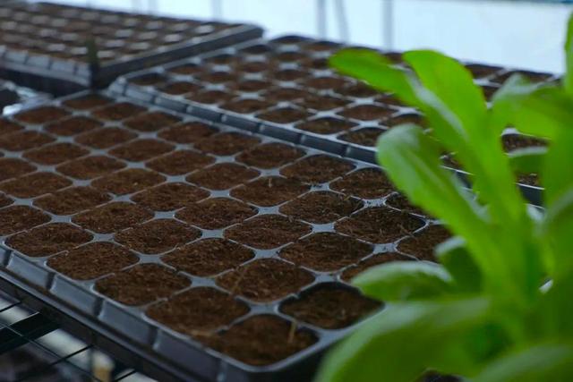 f:id:hidari_te:20200320214710j:plain f:id:hidari_te:20200320214710j:plain