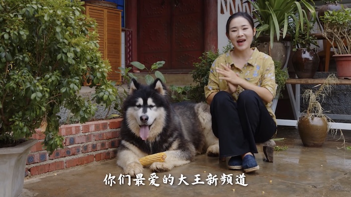 f:id:hidari_te:20210809230058j:plain