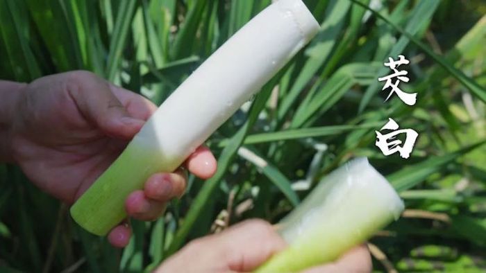 f:id:hidari_te:20210815102927j:plain