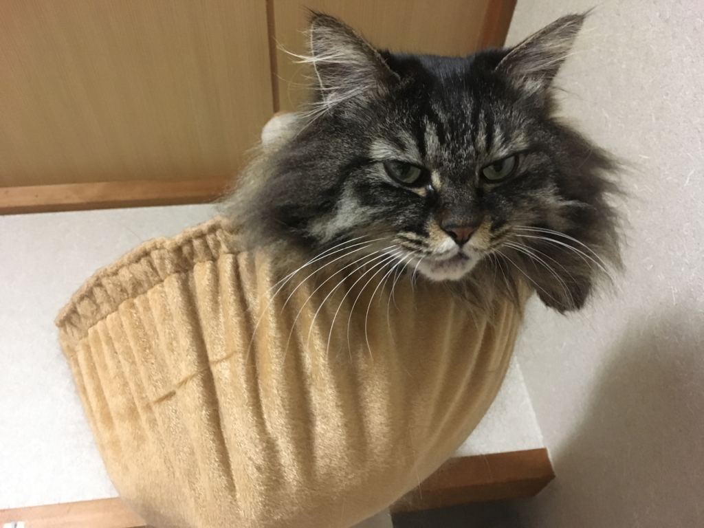 f:id:hidarikagetora:20161214201855j:plain