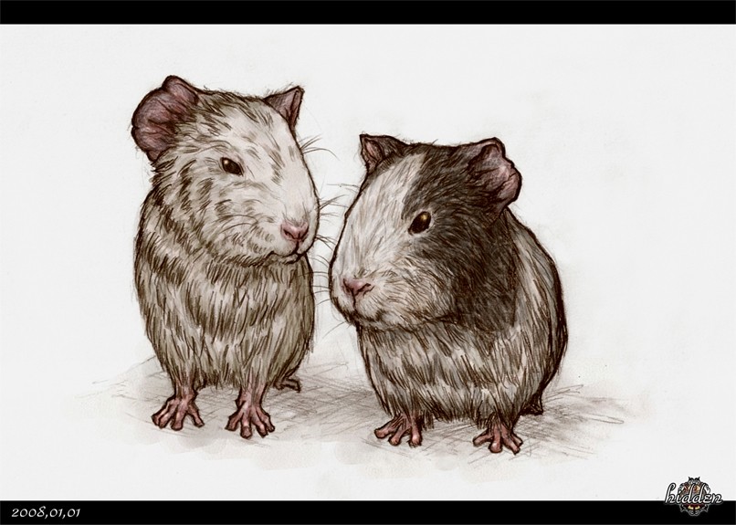 イラスト 08年に描いたあれこれ たぬぴこ 生産性を高めて ゆる賢く 生きる イラスト 08年に描いたあれこれ たぬぴこ 生産性を高めて ゆる賢く 生きる