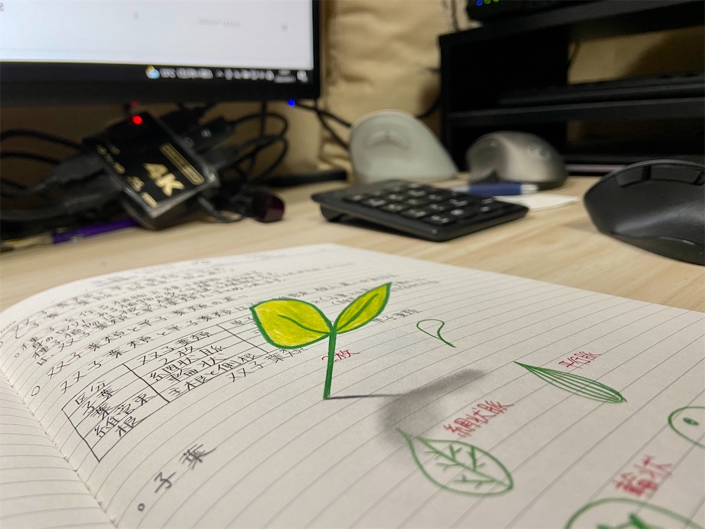 f:id:hide-n64:20220511204449j:image
