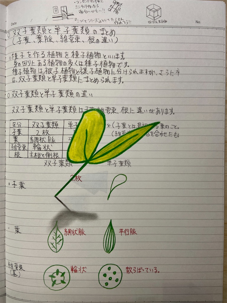 f:id:hide-n64:20220511204459j:image