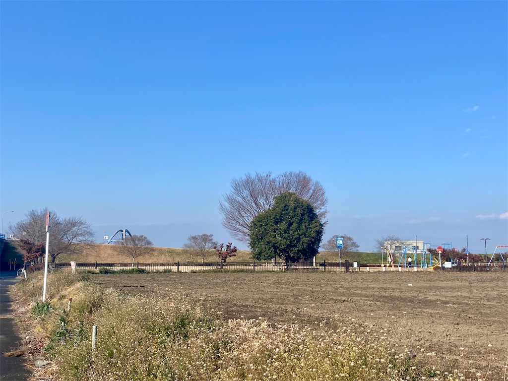 f:id:hide-n64:20231231140433j:image