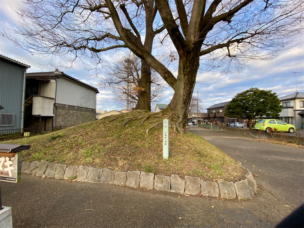 f:id:hide-n64:20240102093232j:image f:id:hide-n64:20240102093232j:image