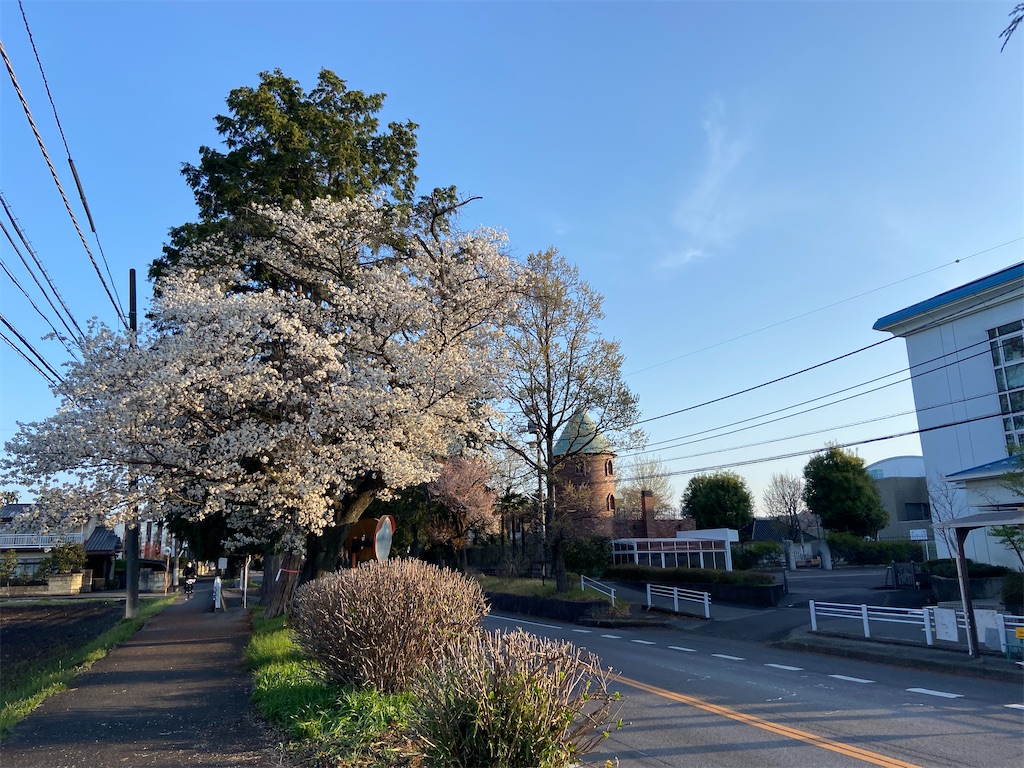 f:id:hide-n64:20240413092143j:image