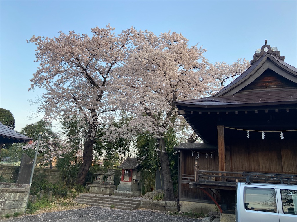 f:id:hide-n64:20240413092309j:image