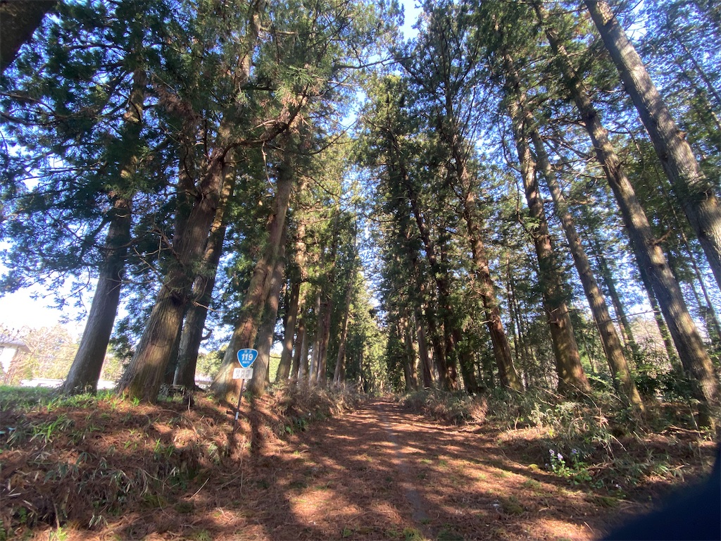 f:id:hide-n64:20240413092317j:image