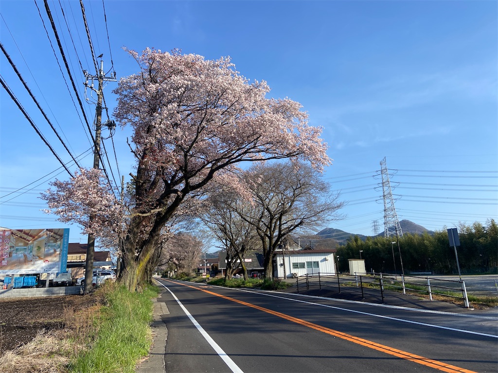 f:id:hide-n64:20240413092338j:image