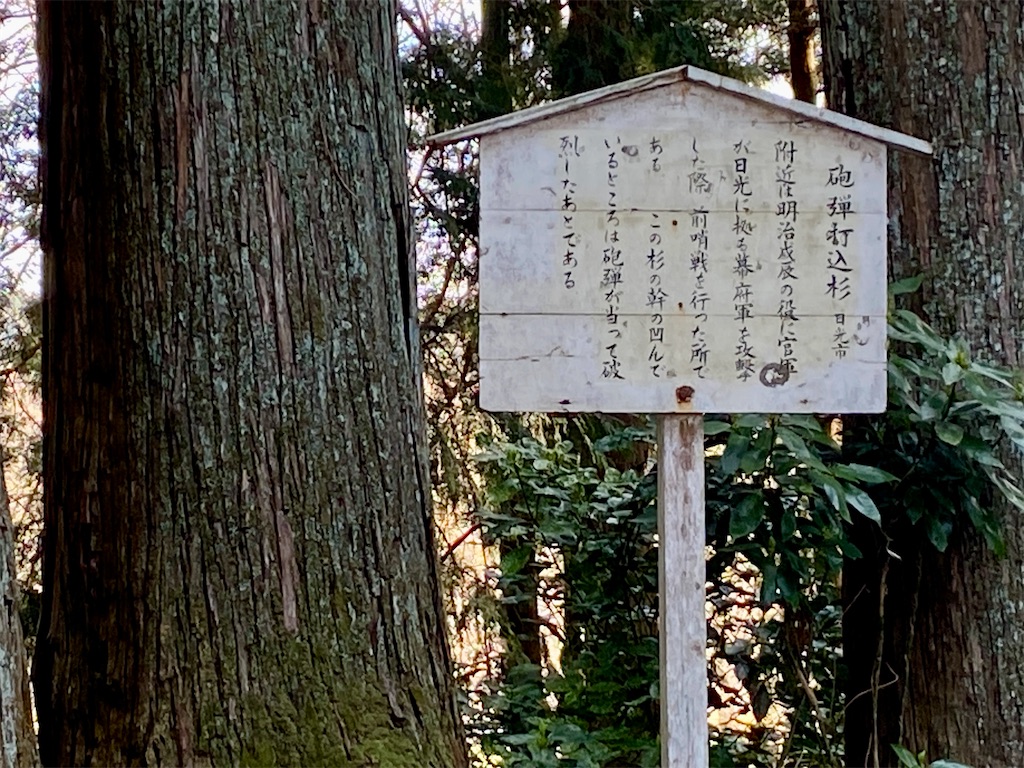 f:id:hide-n64:20240414175521j:image