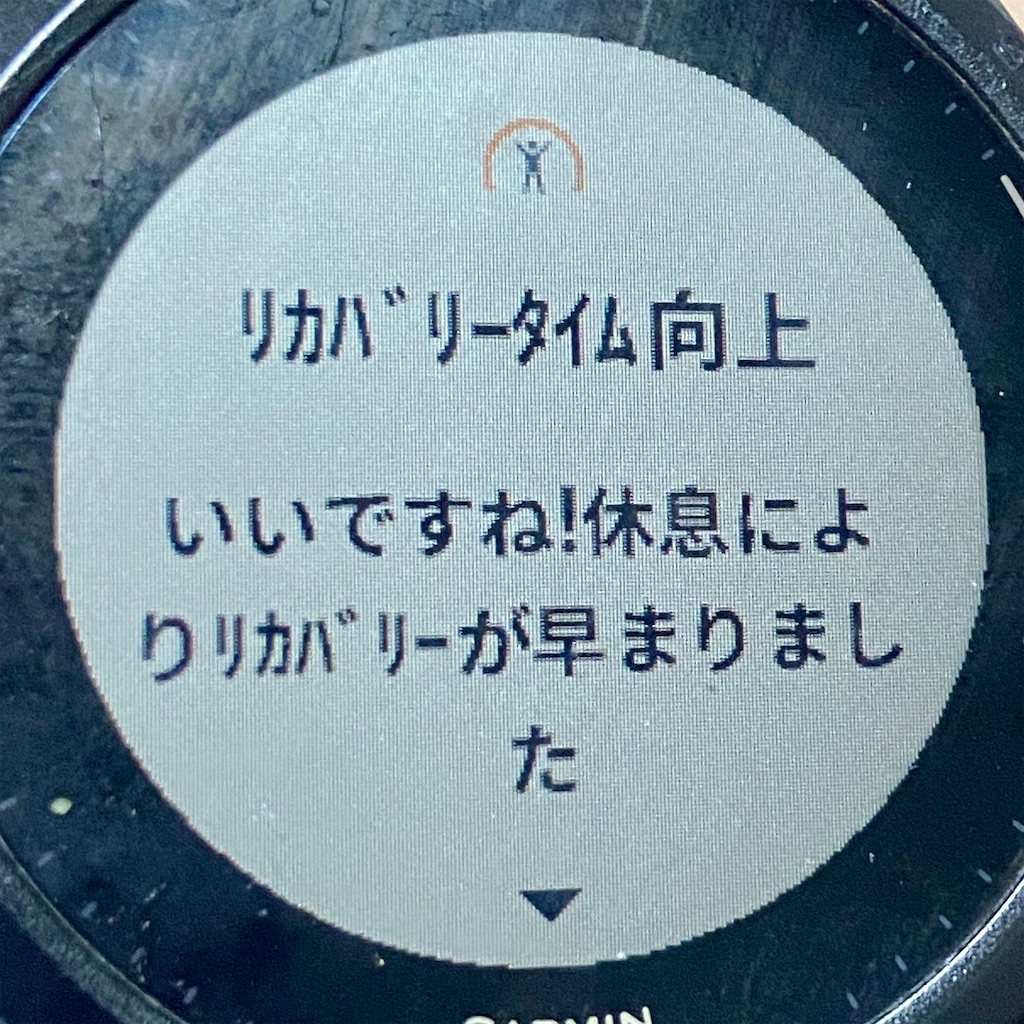 f:id:hide-n64:20240506182448j:image