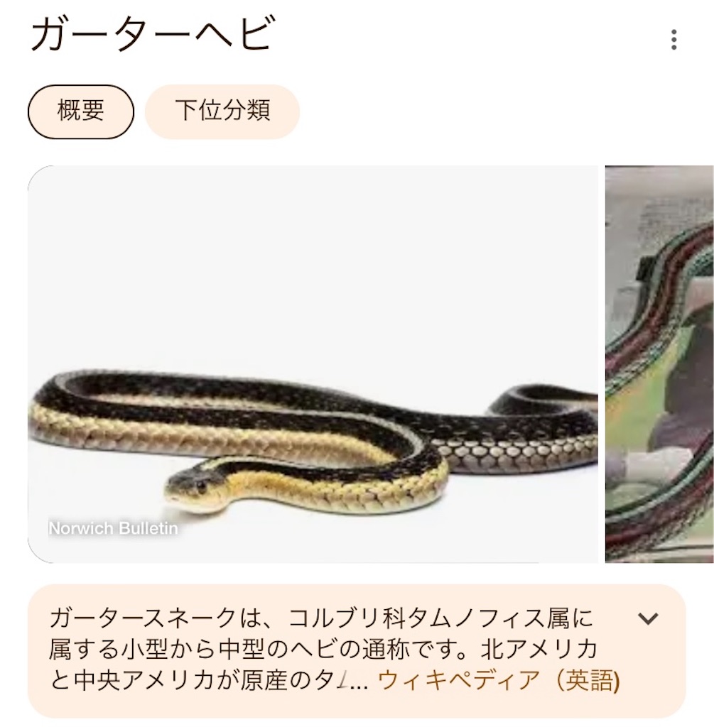 f:id:hide-n64:20240607151734j:image