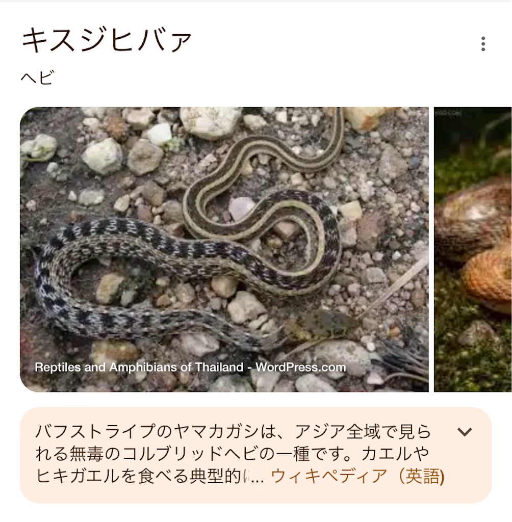 f:id:hide-n64:20240607151743j:image