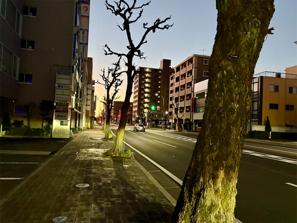 f:id:hide-n64:20250111080221j:image