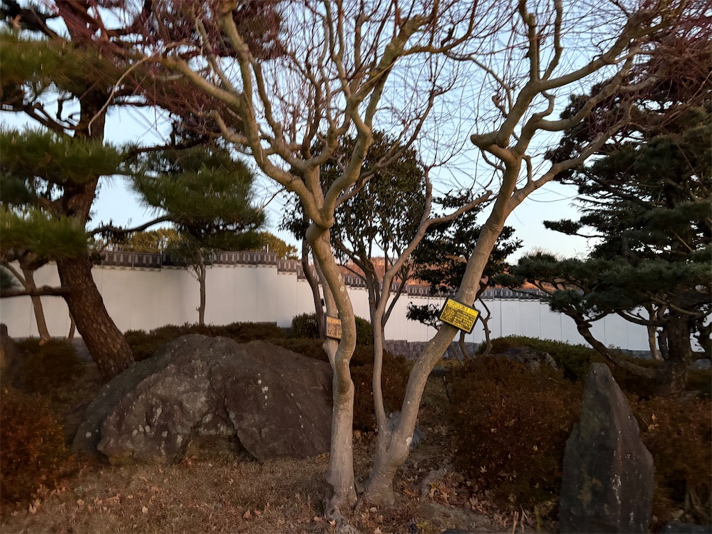 f:id:hide-n64:20250113085904j:image f:id:hide-n64:20250113085904j:image