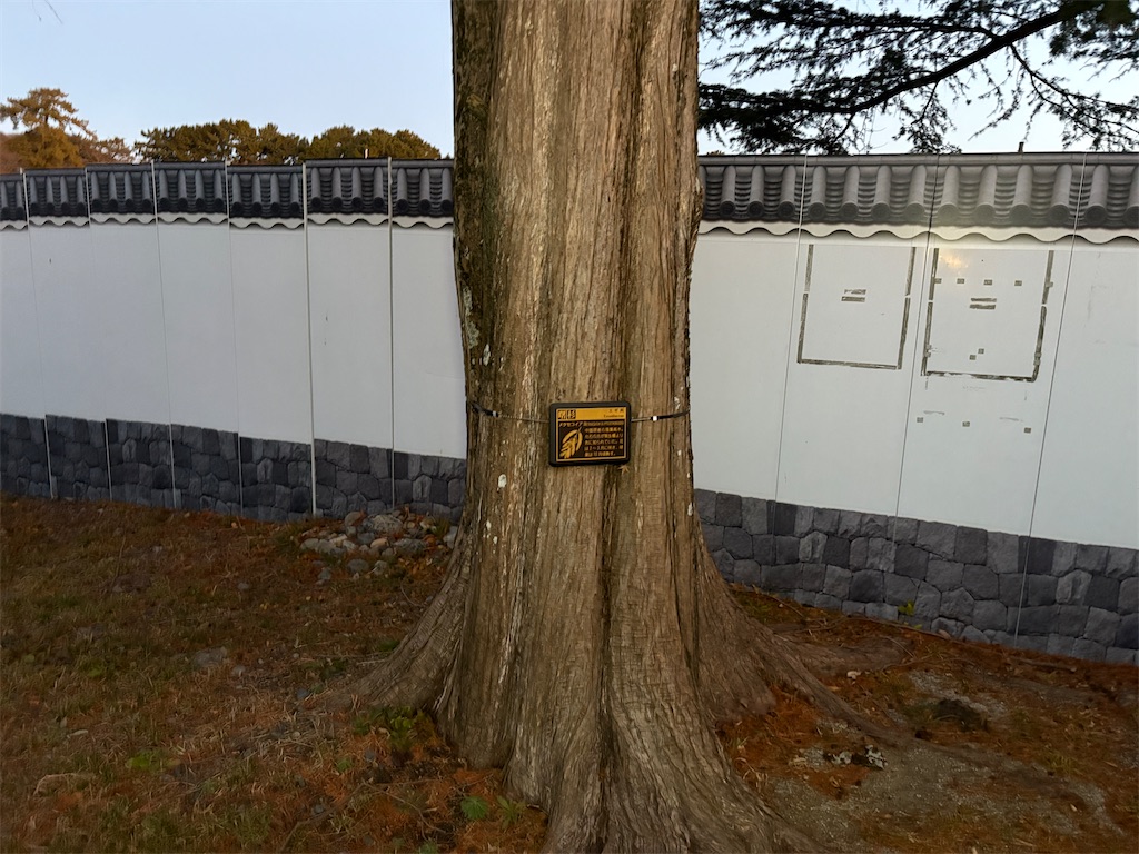 f:id:hide-n64:20250113090038j:image f:id:hide-n64:20250113090038j:image