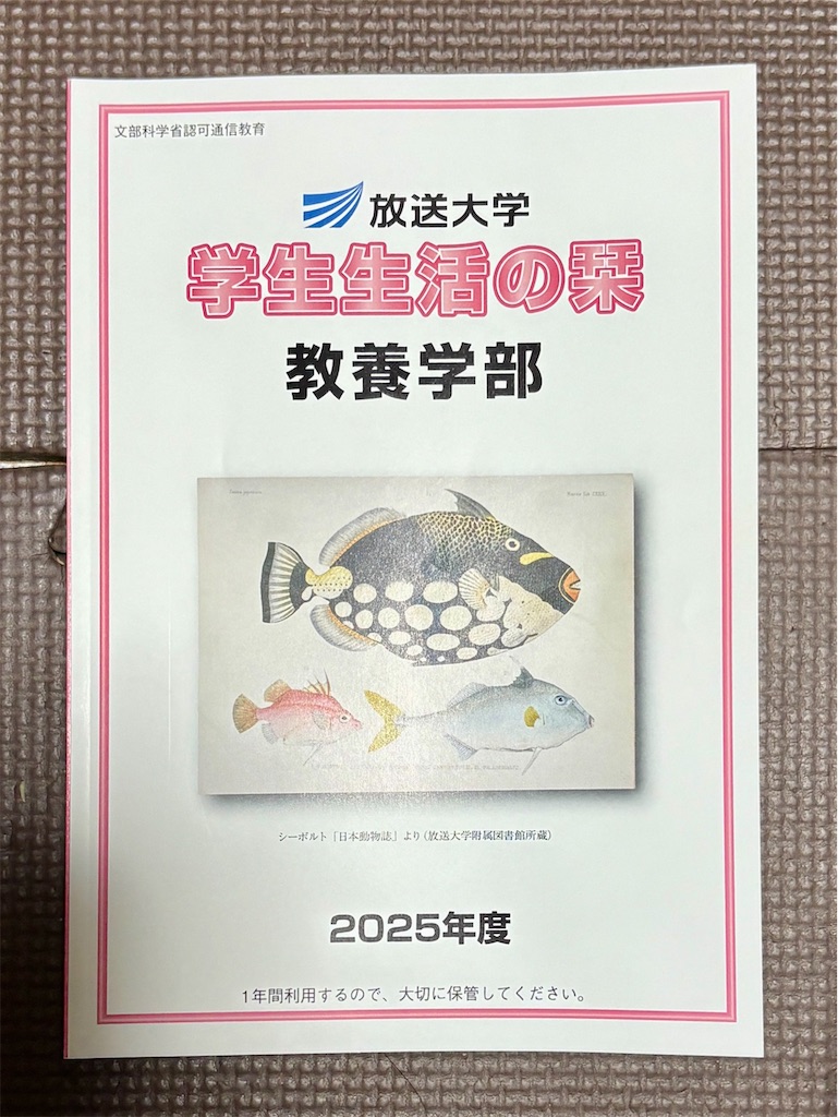 f:id:hide-n64:20250331195655j:image